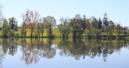 etang-du-moulin-2